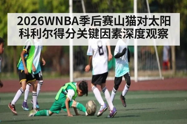 2026WNBA季后赛山猫对太阳科利尔得分关键因素深度观察